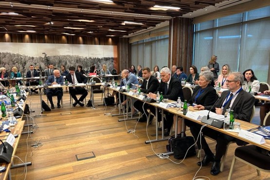 Zamjenik predsjedatelja Doma naroda PSBiH dr. Dragan Čović sudjelovao na konferenciji „Izvršenje odluka Ustavnog suda Bosne i Hercegovine“